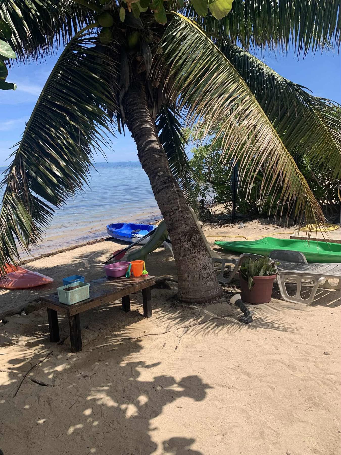 Accès à la plage avec kayaks et cocotier